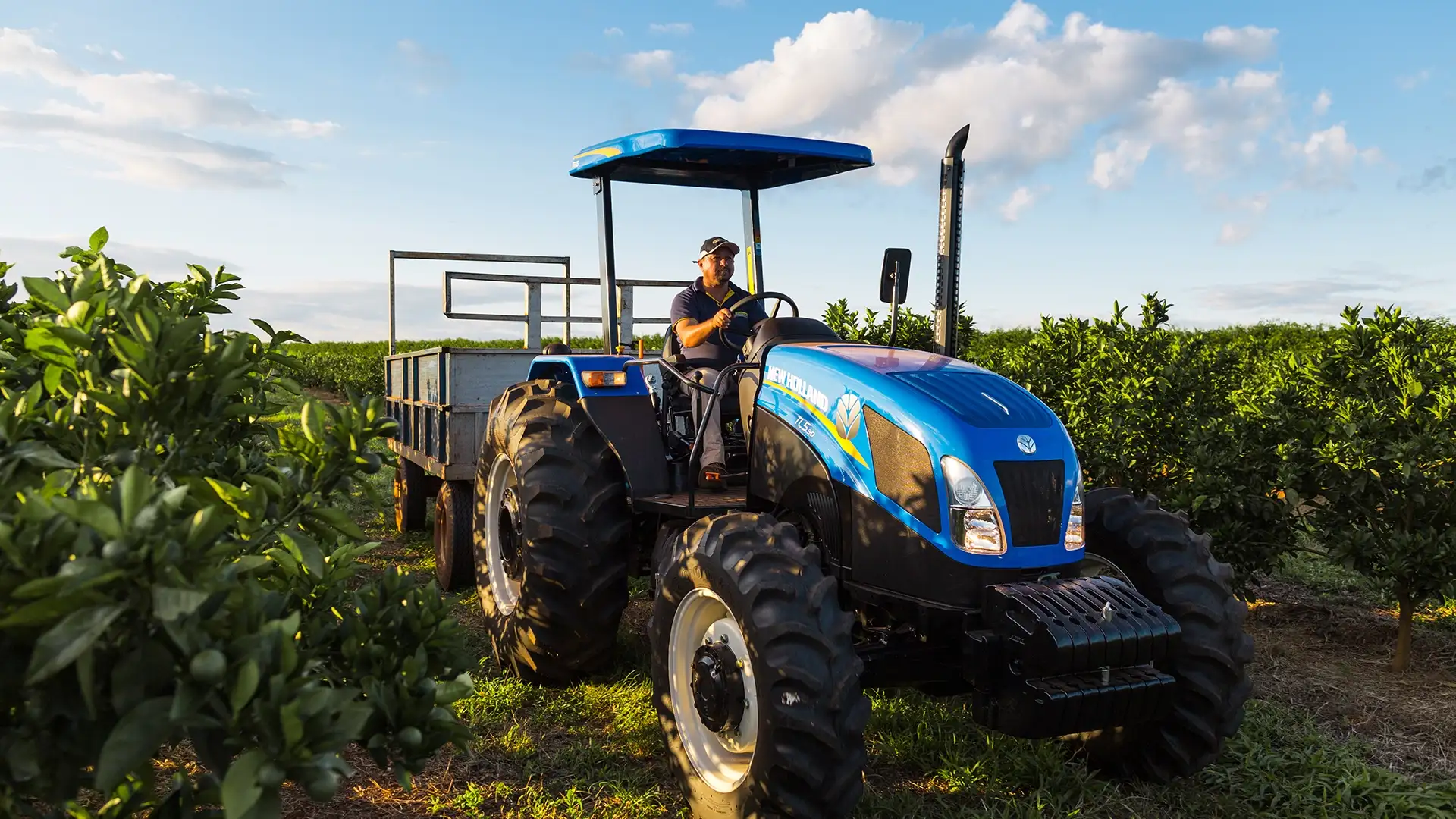 trator-new-holland-modelo-tl5-Trator-em-campo