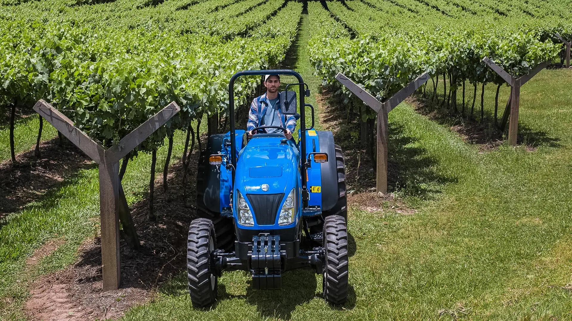 trator-new-holland-modelo-ttettf-em-campo-no-meio-da-plantaçao-visao-frontal