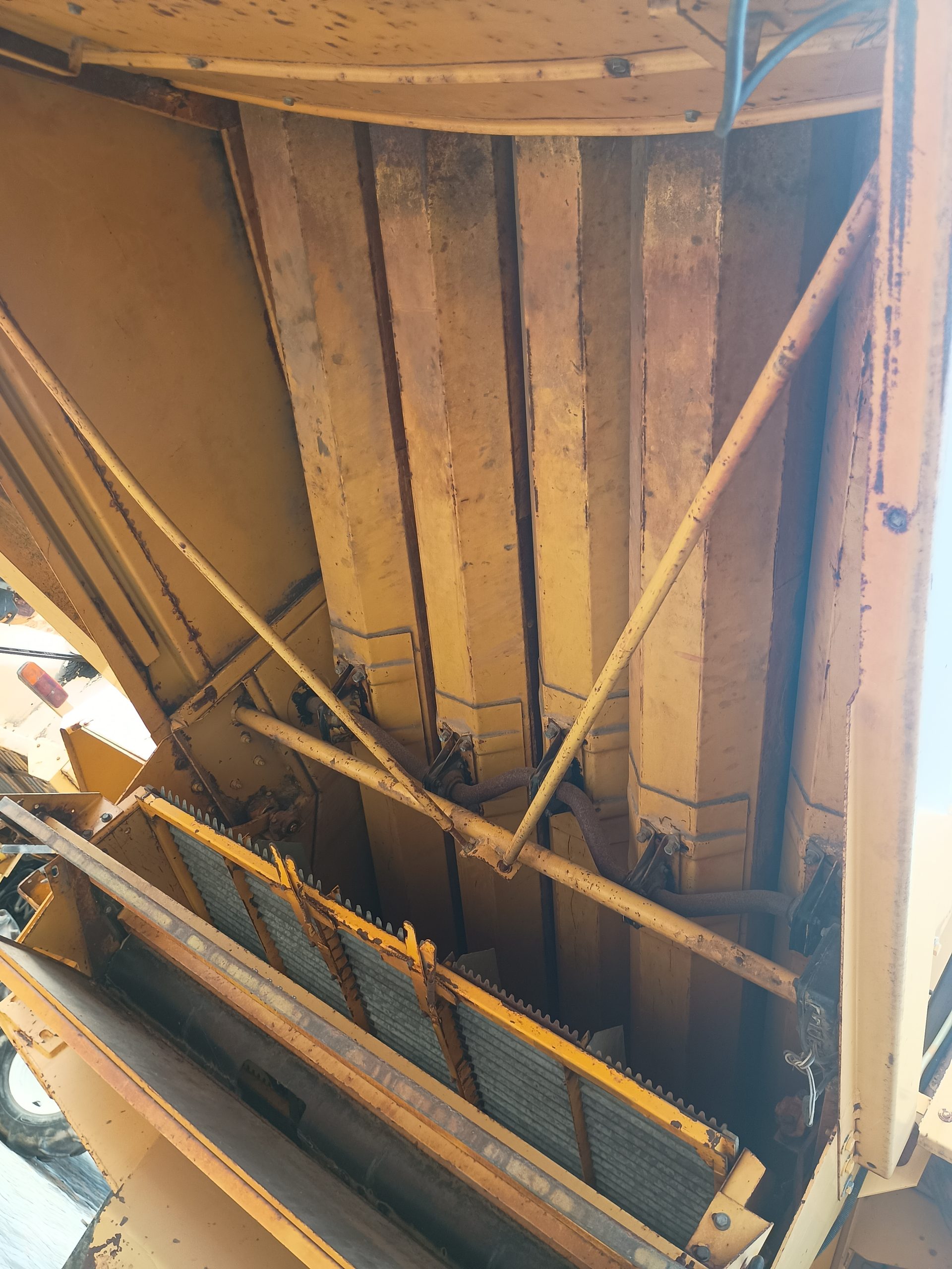 IMG_20250122_151845798